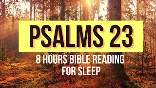 PSALM 23 8 HR REPEAT | BIBLE VERSES FOR SLEEP AND ENCOURAGEMENT