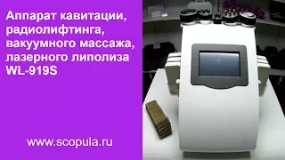 Мастер-класс по кавитации, РФ, вакуумному массажу,  липолазеру на аппарате WL-919S | Scopula.ru