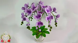 How to make Phalaenopsis orchids with Pipe cleaner ( chenille wire ) ! #hms2