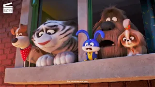 The Secret Life of Pets 2 (8/10) | Snowball needs help | Cartoon For Kids