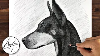 How To Draw a DOG | DOBERMAN Drawing Tutorial (step by step)