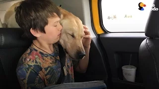 Boy's Dog Killed In the Most Upsetting Way: The Government's War On Animals | The Dodo