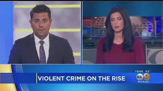 Fear Grows About Spike In Violent Crime Around Melrose Avenue