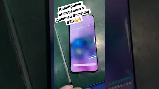 Калибровка выгоревшего дисплея Samsung Galaxy S20 !!!!