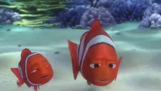 Finding Nemo - Video Summary