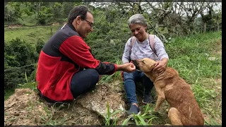 Encontramos al perro y fuimos a cocinar pollo criollo. nos atrapó la lluvia en un campo de Jarabacoa