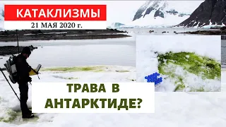 Катаклизмы за день 21 мая 2020 год | Трава в Антарктиде?! Изменение климата! Climate Change
