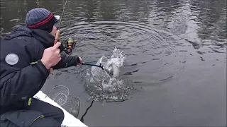 Форель ловится и на железо, и на резину. Клёвое место, Лосиный остров.