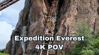 Expedition Everest Onride POV | Disney’s Animal Kingdom | GoPro Hero 8 4K 60fps Hypersmooth 2.0