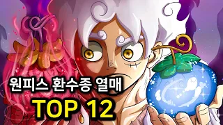 원피스 환수종 열매 TOP 12