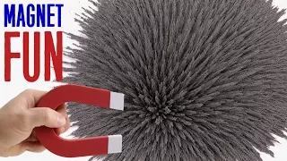 Magnet + Iron filings = Fun Magic & Satisfying Experiment