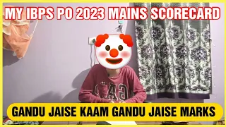 My IBPS PO MAINS 2023 scorecard | With this score I'll get Direct scale 3 post #ibpspo #ibpspomains