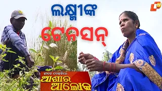 Jibana Do Chhakire Ashara Alok Ep 385, 14 OCT 2023