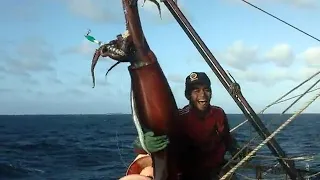 PROSES MEMANCING CUMI RAKSASA PERU,MANTAP CUYYY [ KAPAL TAIWAN ] [ KAPAL CHINA ] [ KAPAL KOREA ]