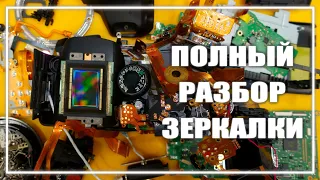 Как устроена зеркалка? Полный разбор зеркальной камеры с комментариями