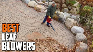 Best Leaf Blowers in 2024 (Top 10 Picks)