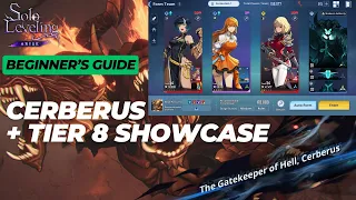 [Solo Leveling: Arise] Cerberus | Beginner's Guide | Tier 8 Showcase | Start Getting Boots!!!