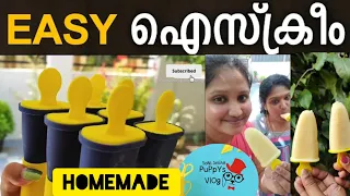 🍨Homemade Ice Cream Recipe|Easy Ice cream recipe in Malayalam| പെട്ടന്ന് ഉണ്ടാക്കാം 🍨#youtube #video