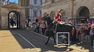 KIDS ARE ALMOST TRAMPLED BY THE HORSE as PARENTS are not paying close attention at Horse Guards!