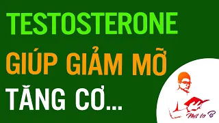 🔔 Cách tăng Testosterone để Giảm béo và Xây dựng Cơ bắp