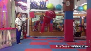 Taekwondo | 900 kick  -  Martial Arts Tricking
