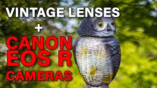 Use Vintage Lenses on a Canon EOS R Digital Camera