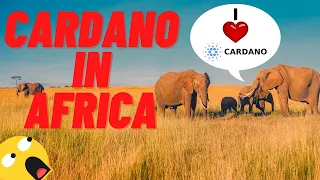 CARDANO IN AFRICA! BIG NEWS!!