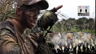 DUCK HUNTING ACTION!! Mallards bombing in for the evening shoot!