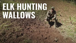 Tips For Hunting Elk On Wallows