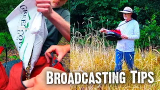 What You Need to Know about Broadcasting Seed for Food Plots