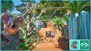 Koala Walkthrough and Australian Rainforest | Planet Zoo Speed Build