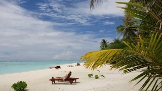 Sun Island Maldives 2016 (Мальдивы)