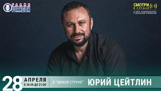 Юрий Цейтлин. Концерт на Радио Шансон («Живая струна»)