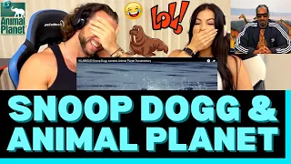 First Time Reaction to Snoop Dogg narrating Animal Planet - THEY NEED TO HIRE SNOOP FULL TIME! 😂