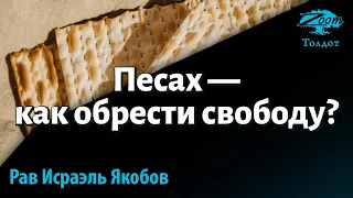 Песах — как обрести свободу? Рав Исраэль Якобов