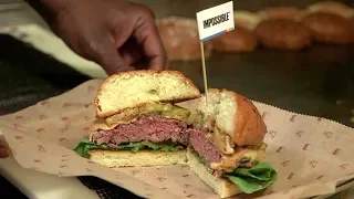 Trying The Impossible: See The Results of Our Meat-Free Burger Taste Test!