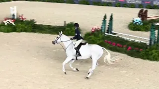 Winning 3'3" Large Junior Hunter 16-17, Pennsylvania National Horse Show 2023