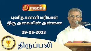 🔴 LIVE  29 MAY 2023 Holy Mass in Tamil 06:00 PM (Evening Mass) | Madha TV