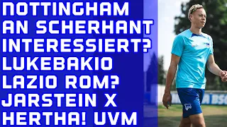 HERTHA NEWS!Nottingham Interesse an Derry Scherhant? Lukebakio / Jarstein / Trainingsgruppe II uvm.