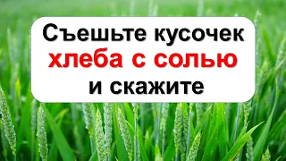 Съешьте кусочек хлеба с солью и скажите