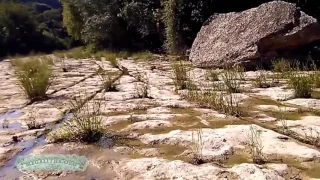 Curious Historic Tracks at Bull Creek Austin Texas, USA -  they do not look like wagon ruts...