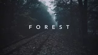 The Forest - Nikon D3300 - Short Film by Felix Lyhs