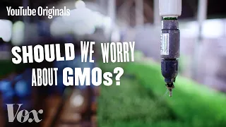 Should We Be Worried About GMOs? - Glad You Asked S1