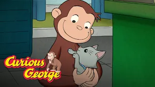 Kitty Sitter 🐵 Curious George 🐵Kids Cartoon 🐵 Kids Movies 🐵Videos for Kids