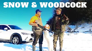 Karda Çulluk Avı | Snow Hunting Woodcock | Beccaccia | вальдшнеп