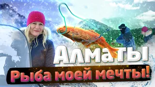 АЛМАТЫ  - Рыба моей МЕЧТЫ! / "А как там у них?" c Еленой Кукеле