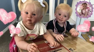 Reborn Toddler Twins get a New Baby Sister *SURPRISE REBORN BOX OPENING*