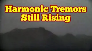 Still Rising: Harmonic Tremors In Meradalir Fagradalsfjall Geldingadalir Volcano