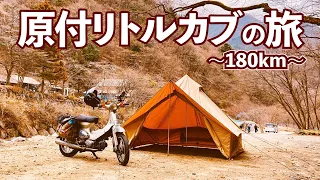 【原付ソロキャンプ180km】リトルカブで西丹沢へ焼鳥食べに行ってくる。なんと交通費総額○○円！