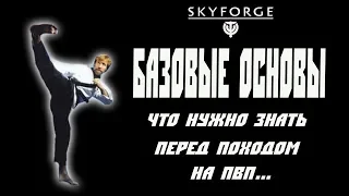 Skyforge: базовые основы пвп(2019).